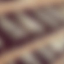 Latest WordPress News