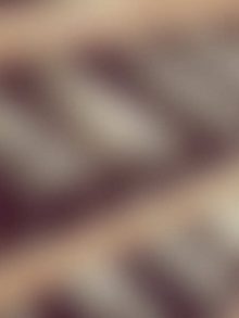 Latest WordPress News